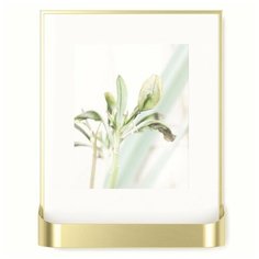 Фоторамка matinee 31 x 8 x 39 матовая латунь, 1016758-221, A3 1016758-221 Umbra