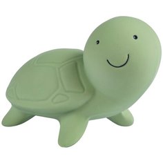 Прорезыватель-погремушка Tikiri My First Ocean Buddies Turtle (97504/97510) зеленый