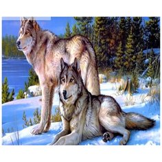 Алмазная мозаика на подрамнике 40х50см (круглые стразы, полная выкладка) ZX8474 New World