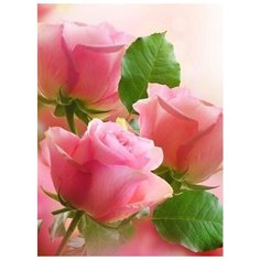 Набор алмазной мозаики "Три розы", размер 37х50 см, 48 цветов Яркие Грани