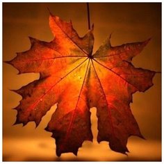 Набор алмазной мозаики "Осенний лист", размер 20х20 см, 27 цветов Яркие Грани