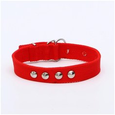 Ошейник клепаный, 45 х 2,5 см, полиэстер, красный 2514383 Пижон