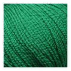 Пряжа Пехорская "Детский каприз теплый" 10 шт. в упак. цвет зеленка (ПЕХ. ДКТ.511) Пехорка