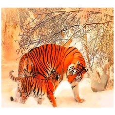 Алмазная мозаика на подрамнике 40х50см (круглые стразы, полная выкладка) ZX9862 New World