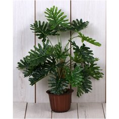 Искусственное растение Филодендрон/Искусственные растение для декора/ искусственные растение для декора в горшках/ искусственные растение для декора в кашпо/ Искусственные растения/ искусственные растение в кашпо Holodilova