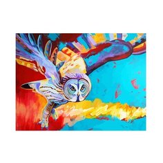 "Color-Kit" Раскраска по номерам на картоне 30 x 40 см "Полет совы" KS052