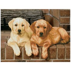 Кристальная мозаика (алмазная вышивка) "фрея" ALV-3 09 "Щенки лабрадора" 52 х 39.5 см