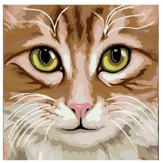 Картина по номерам, 40 x 40, A396, "Живопись по номерам", набор для раскрашивания, раскраска