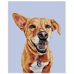 Картина по номерам, "Живопись по номерам", 40 x 50, A221, пёс, животное, мартингейл, домашний, рисунок, ошейник, брелок