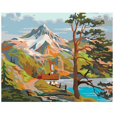 Картина по номерам, 60 x 75, PP08, "Живопись по номерам", набор для раскрашивания, раскраска