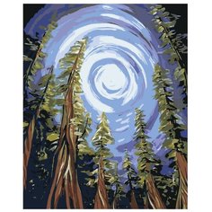 Картина по номерам, 60 x 75, RA117, "Живопись по номерам", набор для раскрашивания, раскраска