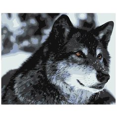 Картина по номерам, 60 x 75, Z- AB310, "Живопись по номерам", набор для раскрашивания, раскраска