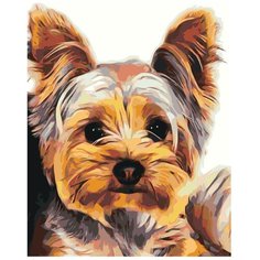 Картина по номерам, 60 x 75, RA377, "Живопись по номерам", набор для раскрашивания, раскраска