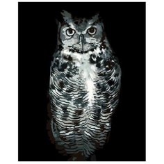 Картина по номерам, 60 x 75, KTMK-351311, "Живопись по номерам", набор для раскрашивания, раскраска