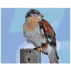 Картина по номерам, 60 x 75, Z- AB418, "Живопись по номерам", набор для раскрашивания, раскраска