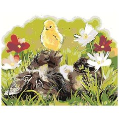 Картина по номерам, 60 x 75, Z- AB79, "Живопись по номерам", набор для раскрашивания, раскраска