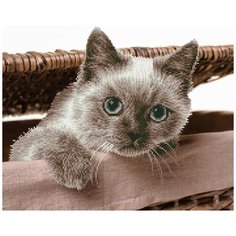 Кристальная мозаика (алмазная вышивка) "фрея" ALV-76 "Давай играть!" 50 х 40 см