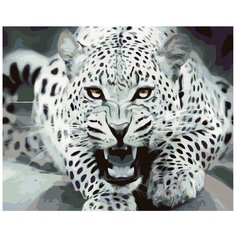 Картина по номерам, 60 x 75, KTMK-57945, "Живопись по номерам", набор для раскрашивания, раскраска