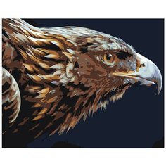 Картина по номерам, 60 x 75, Z- AB420, "Живопись по номерам", набор для раскрашивания, раскраска