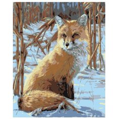 Картина по номерам, 60 x 75, W360, "Живопись по номерам", набор для раскрашивания, раскраска