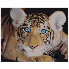 Картина по номерам, 60 x 75, Z-AB369, "Живопись по номерам", набор для раскрашивания, раскраска