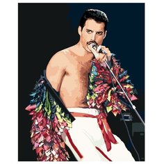 Картина по номерам, 60 x 75, Z101100892, "Живопись по номерам", набор для раскрашивания, раскраска