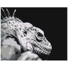 Картина по номерам, 60 x 75, Z- AB235, "Живопись по номерам", набор для раскрашивания, раскраска