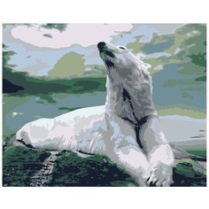 Картина по номерам, 60 x 75, Z-AB433, "Живопись по номерам", набор для раскрашивания, раскраска