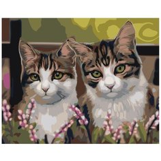 Картина по номерам, 60 x 75, Z-AB16, "Живопись по номерам", набор для раскрашивания, раскраска