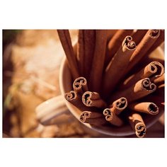 Алмазная мозаика Яркие Грани "Корица" (DS550), размер 50х34 см, 48 цветов