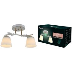 Потолочная люстра PADOVA 2хE27х60Вт Ritter 52510 3