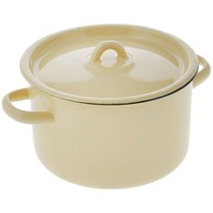 Кастрюля СтальЭмаль 2С16/1, 2.9 л