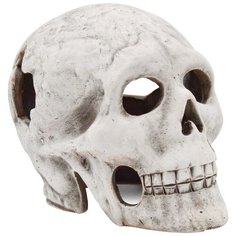 Декорации для аквариума грот Zooexpress Иж Череп ГП1 13х20х16 см; 1 шт.