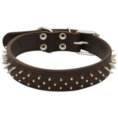 Ошейник ZOOEXPRESS двухслойный, 36 мм, ёж, длина до 60 см, коричневый