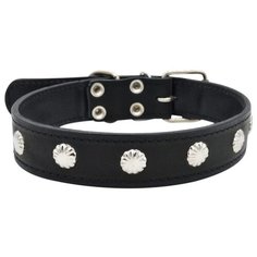 Ошейник ZOOEXPRESS двухслойный, 36 мм, пукля, длина до 60 см, черный