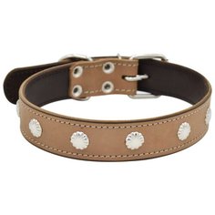 Ошейник ZOOEXPRESS двухслойный, 26 мм, пукля, длина до 50 см, бежевый