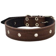 Ошейник ZOOEXPRESS однослойный, 36 мм, фетр блочка, длина до 60 см, коричневый