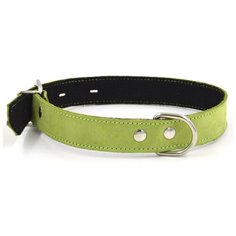 Ошейник ZOOEXPRESS COLOR LINE однослойный, 25 мм, нубук и фетр, длина 35-45 см, салатовый