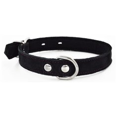 Ошейник ZOOEXPRESS COLOR LINE однослойный, 14 мм, нубук и фетр, длина 27-36 см, черный