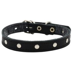 Ошейник ZOOEXPRESS однослойный, 14 мм, фетр бусинка, длина до 32 см, черный