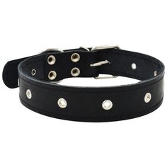 Ошейник ZOOEXPRESS однослойный, 36 мм, фетр блочка, длина до 60 см, черный