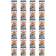 Корм для кошек консервы Royal Canin Интенс Бьюти в соусе 85 г; 24 шт.