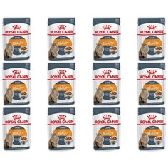 Корм для кошек консервы Royal Canin Интенс Бьюти в соусе 85 г; 12 шт.