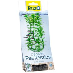Растение для аквариума Tetra Anacharis S, с утяжелителем, 15 см