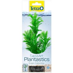 Растение для аквариума Tetra Green Cabomba S, с утяжелителем, 15 см