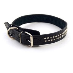 Ошейник Zoomaster, с фурнитурой, 30 мм, 60 см Зоомастер