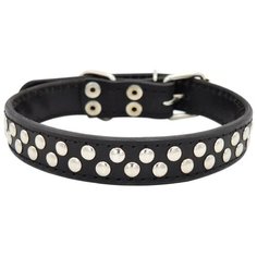 Ошейник ZOOEXPRESS двухслойный, 26 мм, клепка, длина до 50 см, черный
