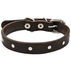 Ошейник ZOOEXPRESS двухслойный, 14 мм, бусинка, длина до 35 см, коричневый