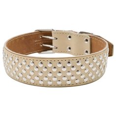 Ошейник ZOOEXPRESS двухслойный, 50 мм, клепка, длина до 70 см, бежевый