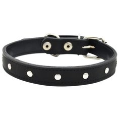 Ошейник ZOOEXPRESS двухслойный, 14 мм, бусинка, длина до 35 см, черный